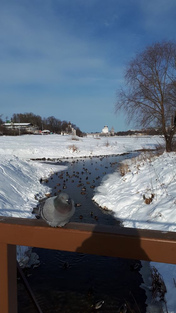 Photograph by Наталия Степовая