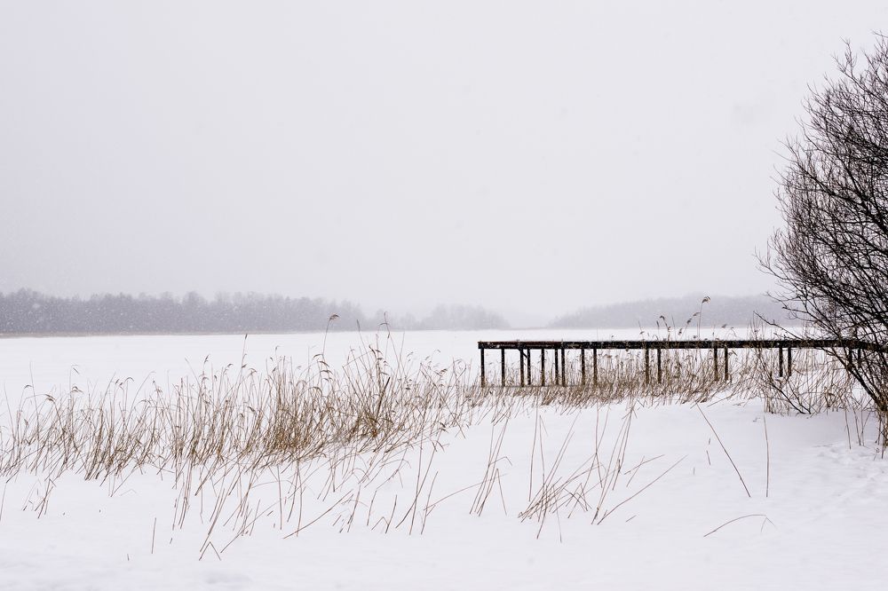 Photograph by Екатерина Абрамова