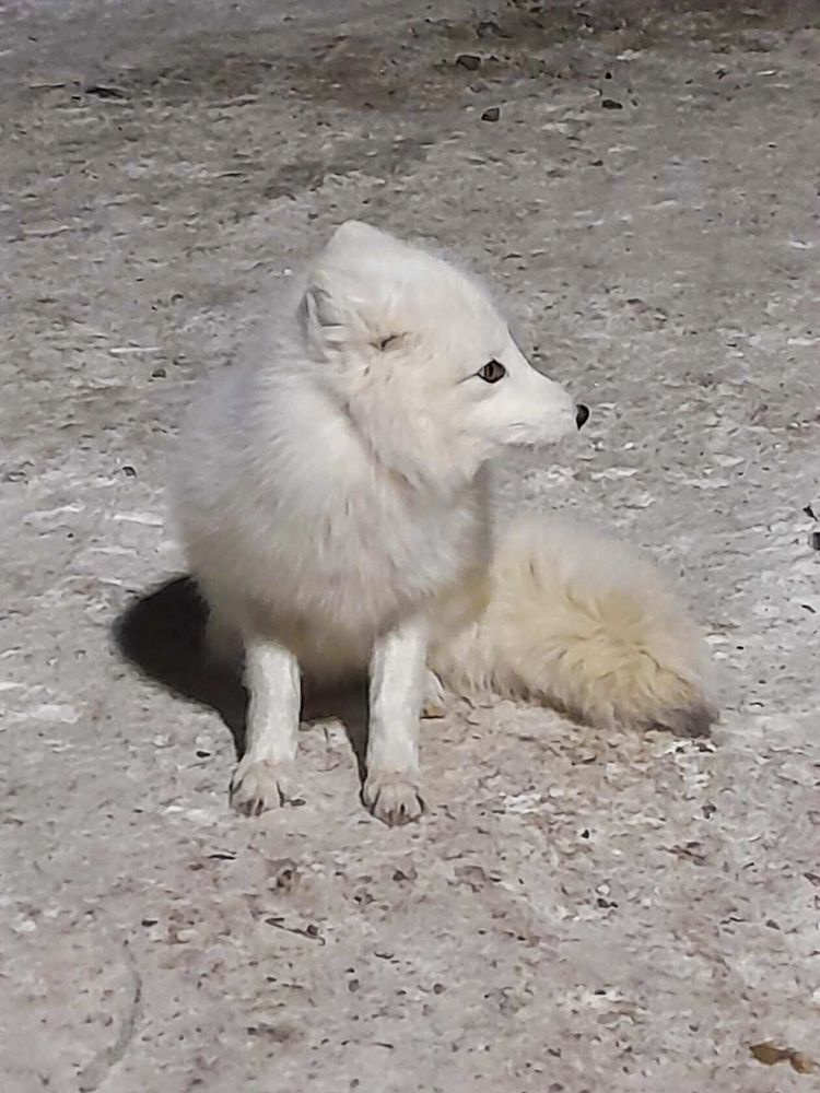 Фотография автора Светлана Матвиенко