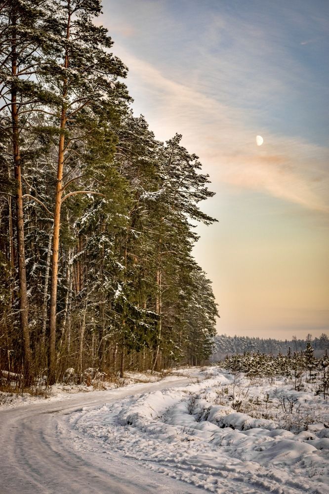 Photograph by Ольга Семина