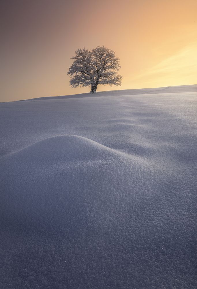 Photograph by Adam Nedojedlý