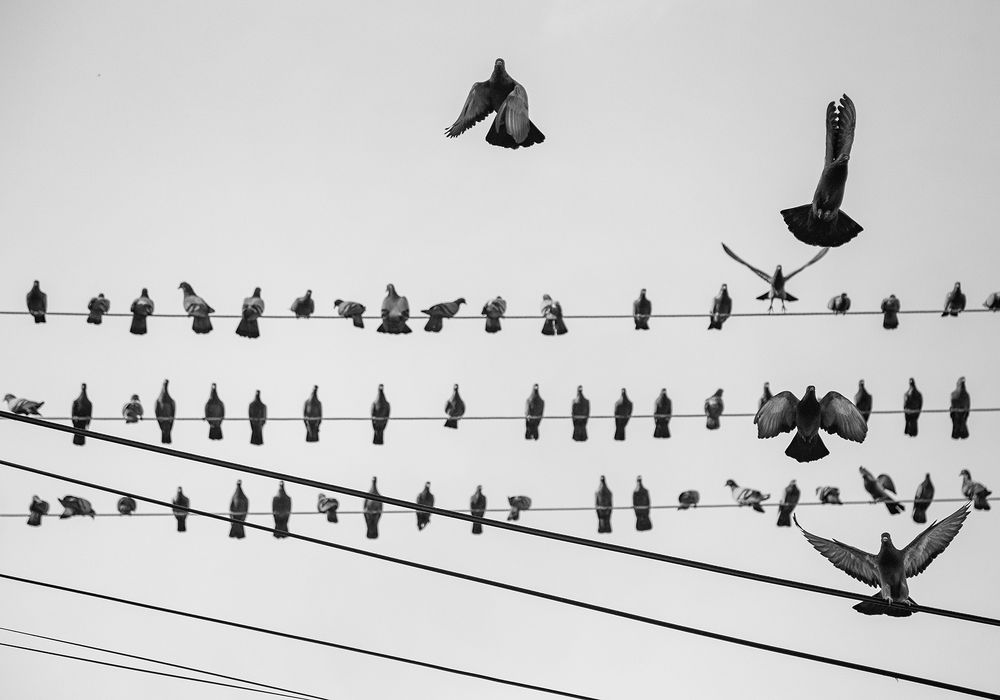 Photograph by Laddu Sasindu Pramuditha De Silva