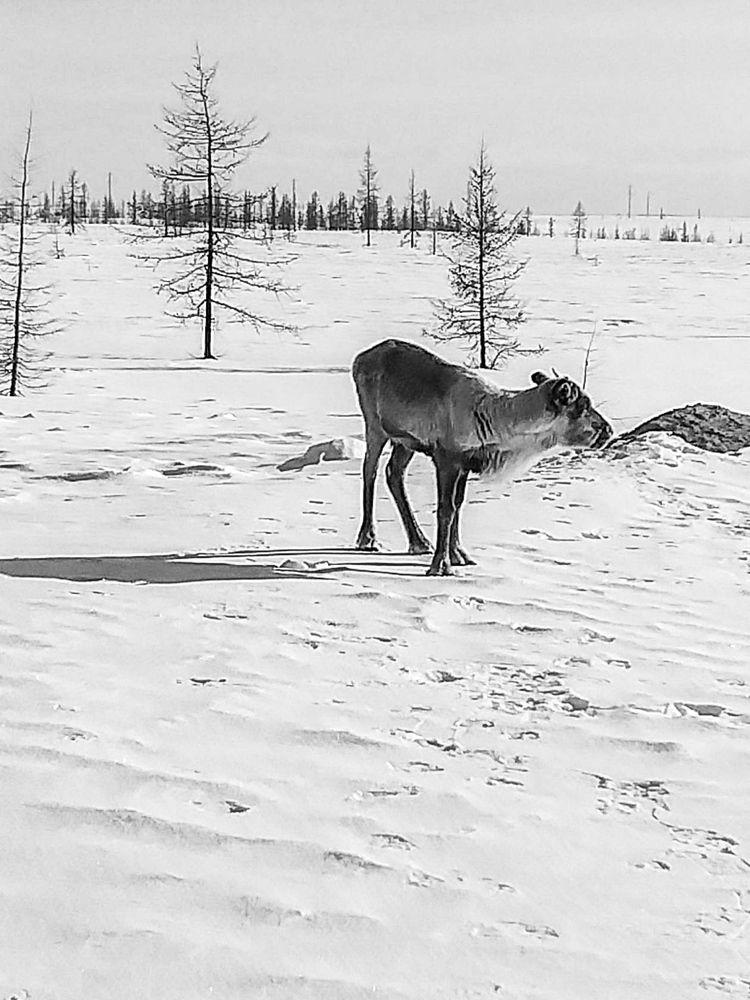 Фотография автора Светлана Матвиенко