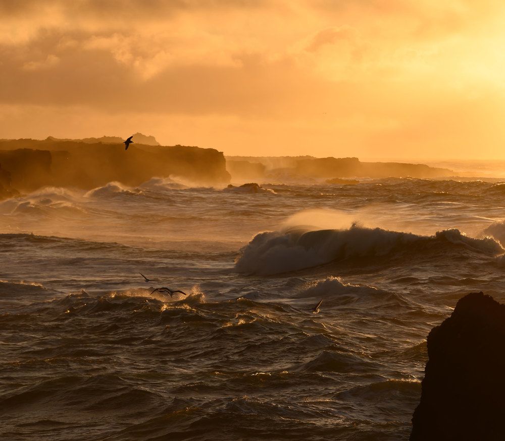 Photograph by Alejandro Escribano