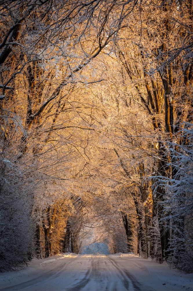 Photograph by Wiktor Kulesa