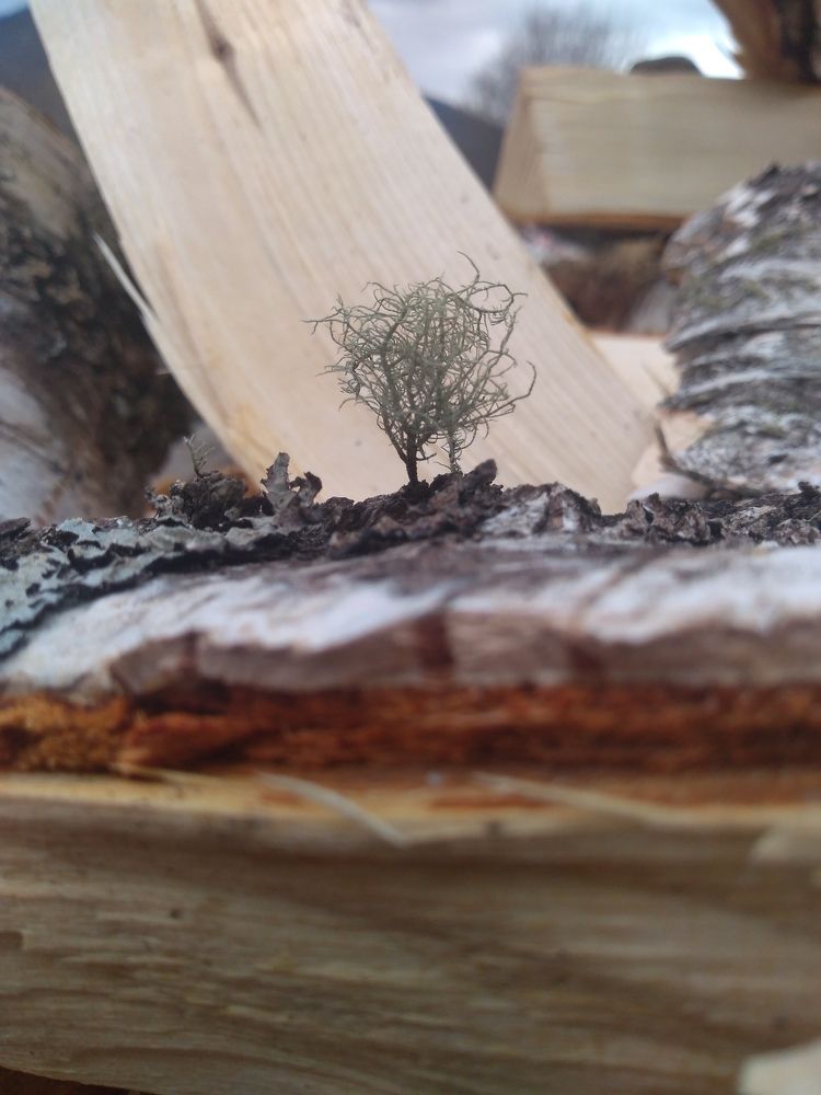 Photograph by СТЕПАН ДЖУЛАКИДЗЕ