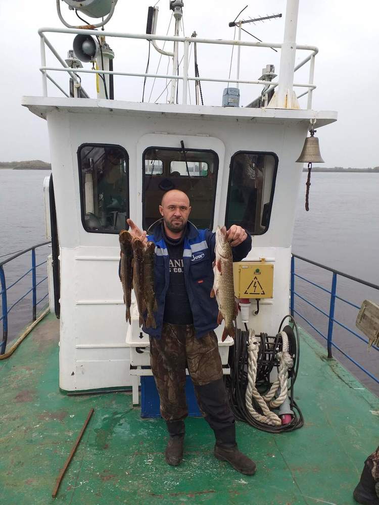 Фотография автора Светлана Матвиенко