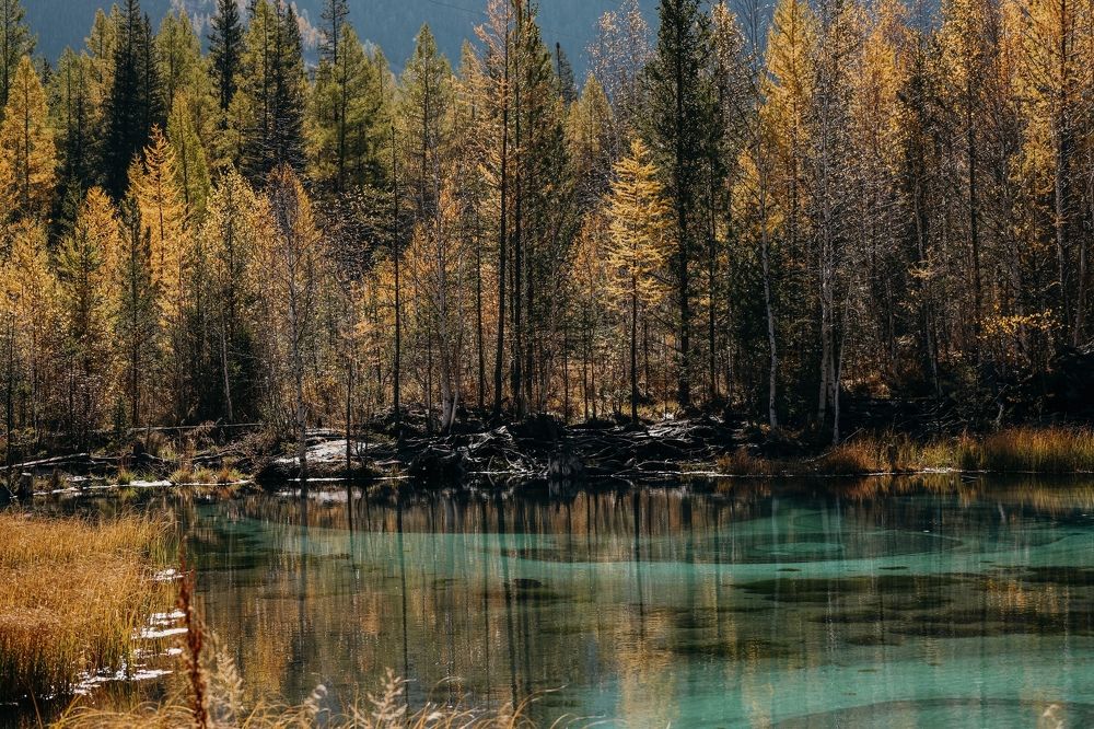 Photograph by Элина Ларченкова