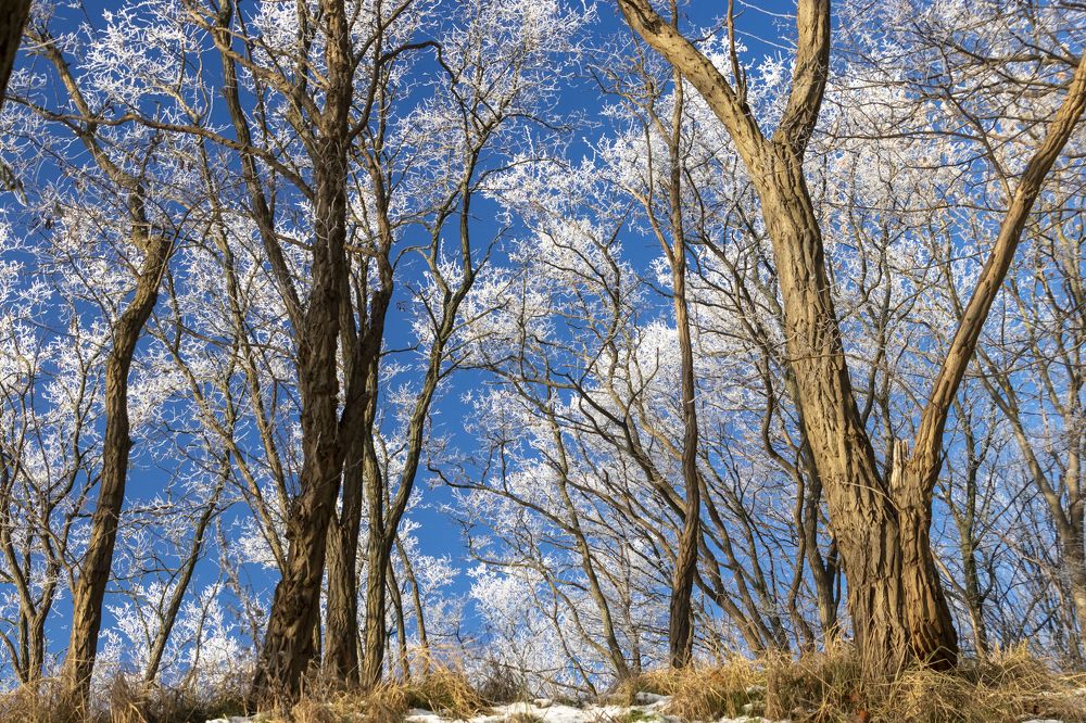 Photograph by Константин Чижов