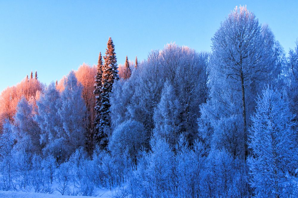 Зимний рассвет.