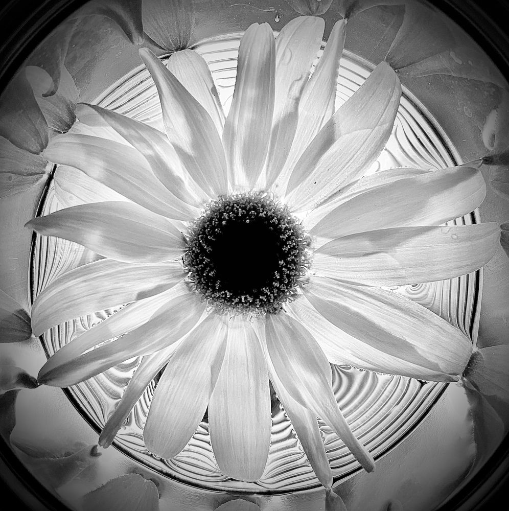 Photograph by Ольга Барулина