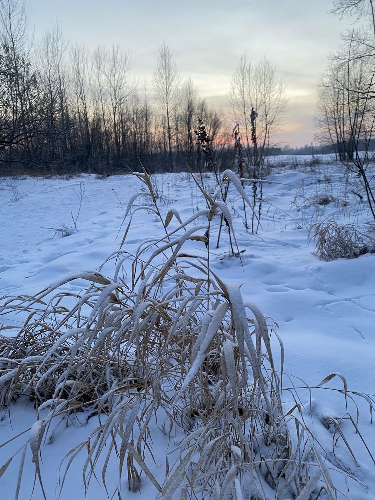 Photograph by Алиса Лукина