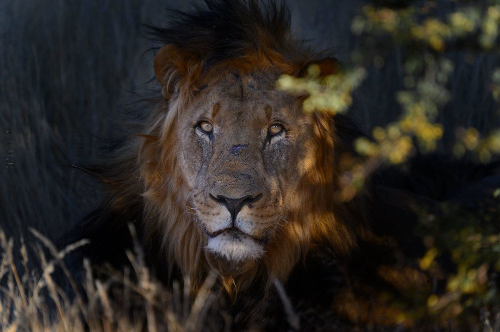 Photograph by Alejandro Escribano