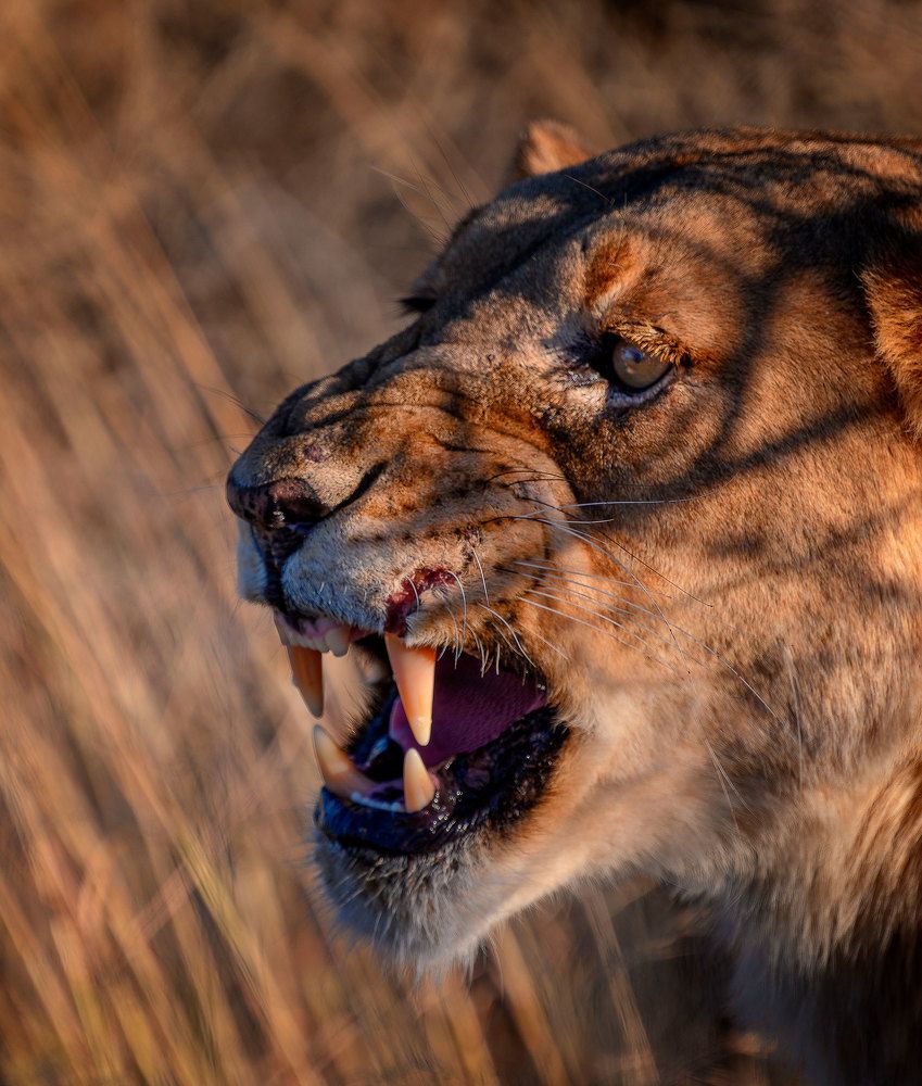 Photograph by Alejandro Escribano