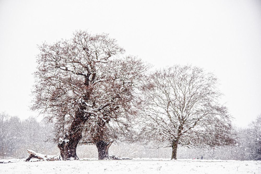 Photograph by Giacomo Giannelli