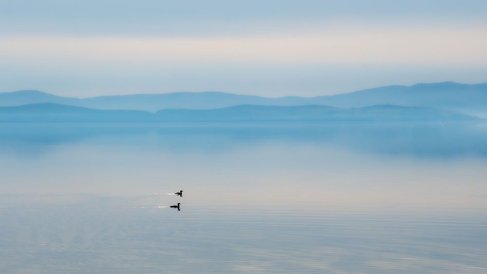 Photograph by Иван Зиновьев