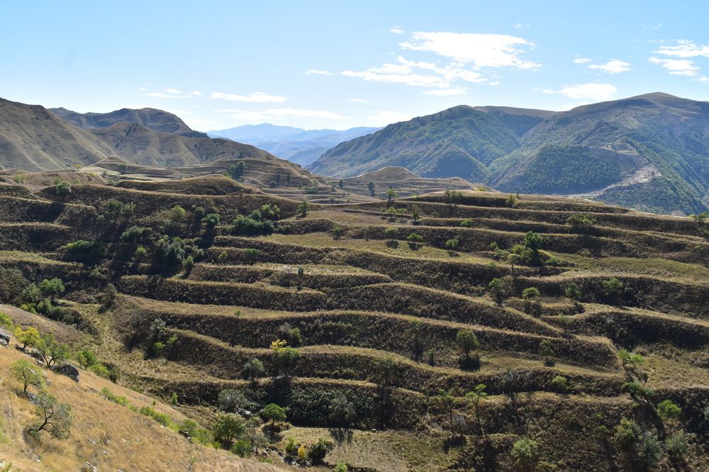 Photograph by Анна Стрельченко