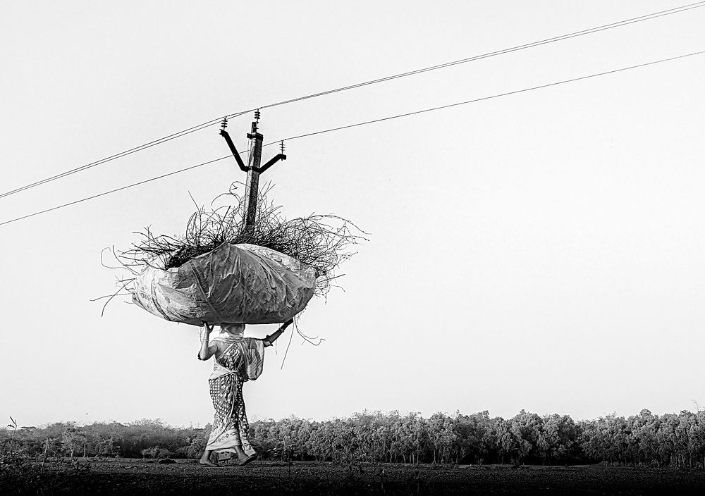 Photograph by Koushik Patra