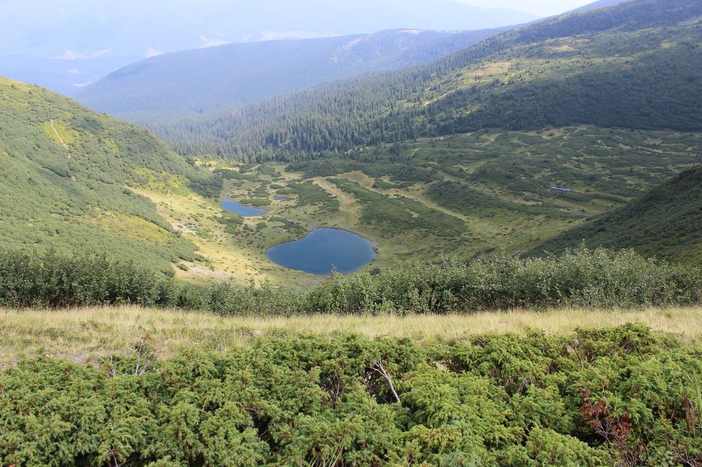 Photograph by Ольга Жаркова