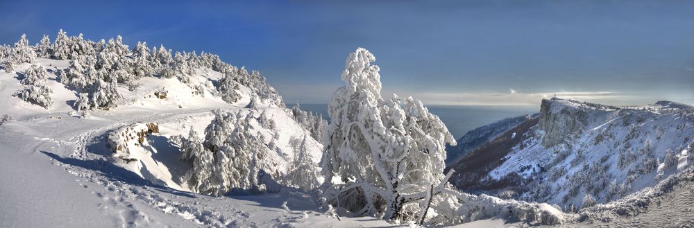 Photograph by Евгений Самулев