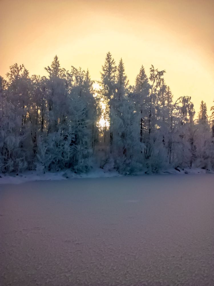 Фотография автора Светлана Матвиенко