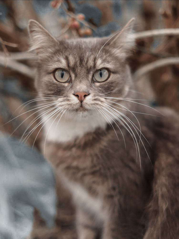 Photograph by Анастасия Рабочева