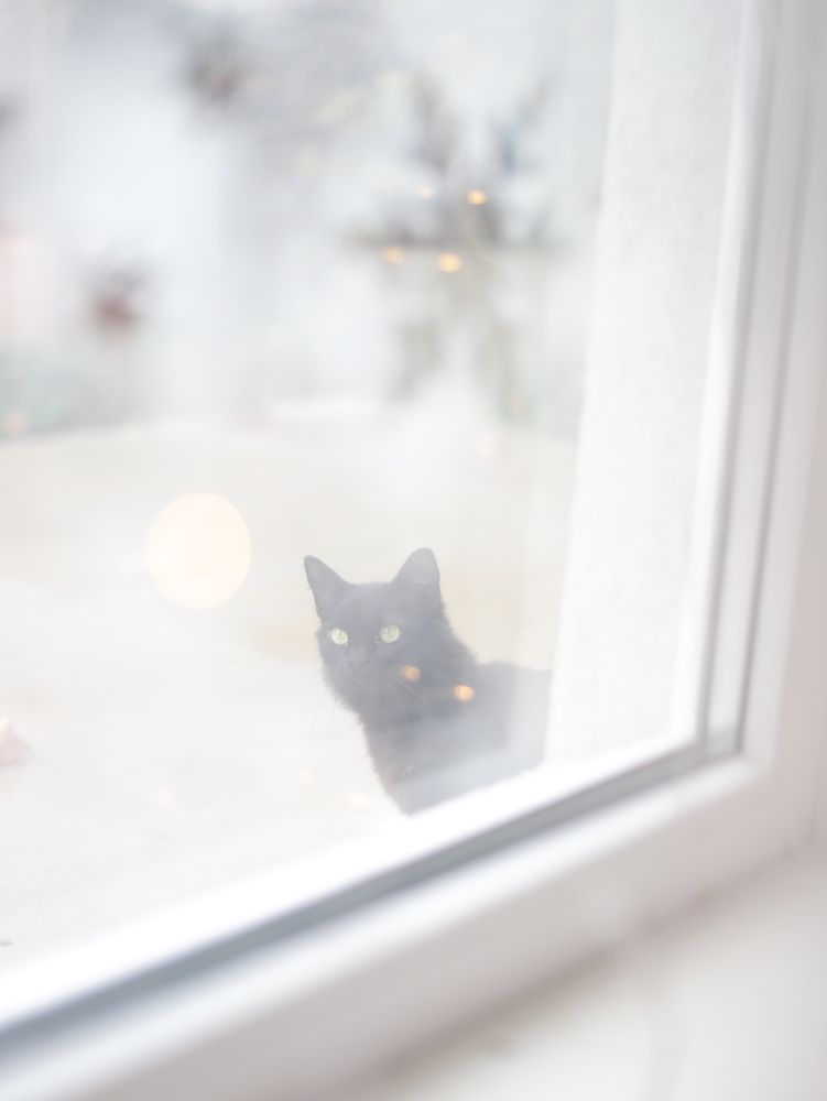 Photograph by Анастасия Рабочева