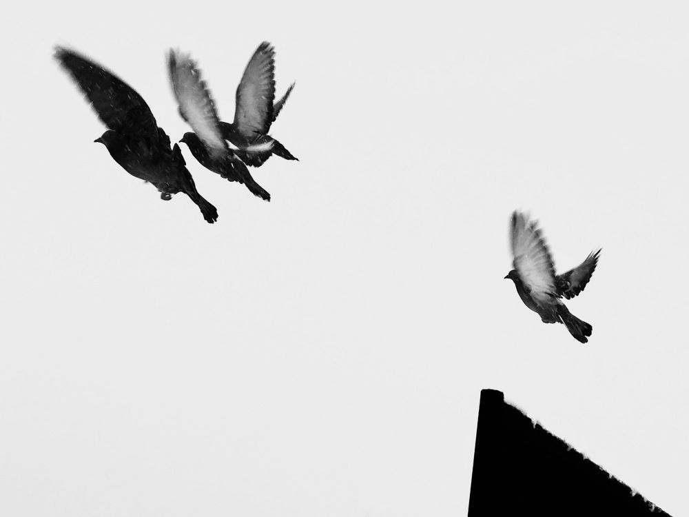 Photograph by Елена Ким