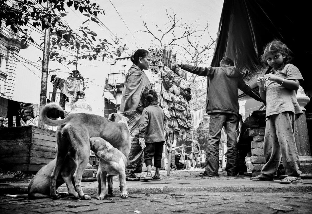 Фотография автора Soumyadip Mondal