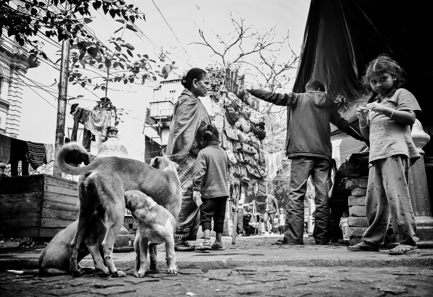 Photo #8528454
