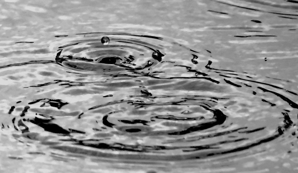 Photograph by Norayr Khazhakyan