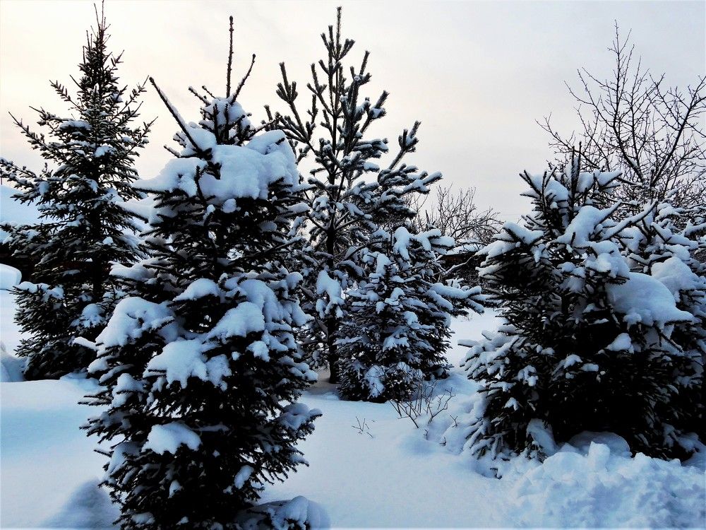 Photograph by Татьяна Красавцева