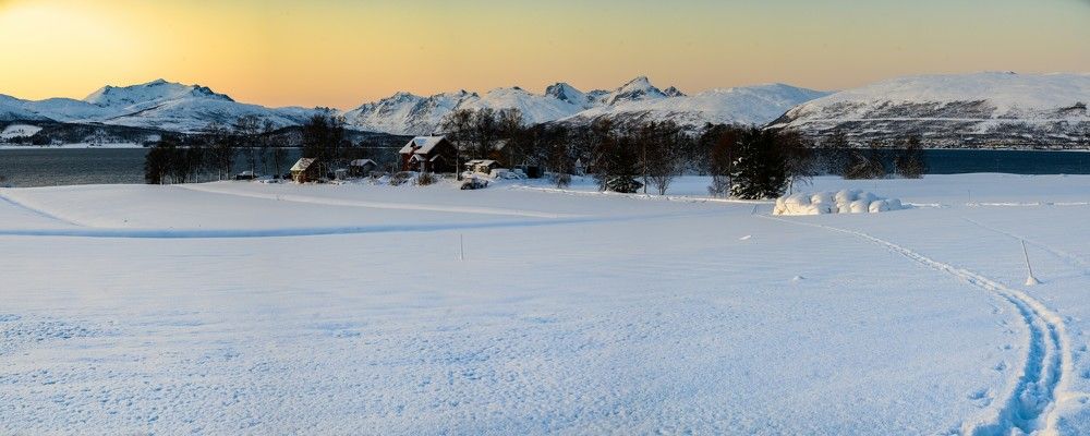 Photograph by Mahmud Tareq Khan