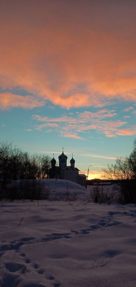 Photo #8528497