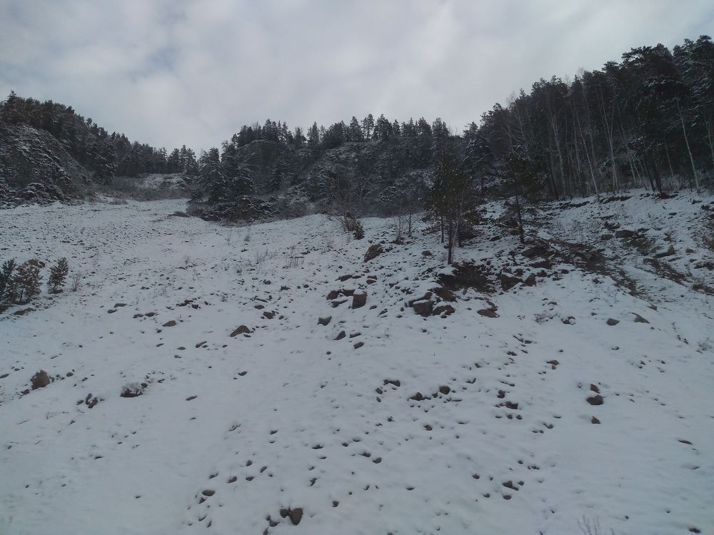 Photograph by СТЕПАН ДЖУЛАКИДЗЕ