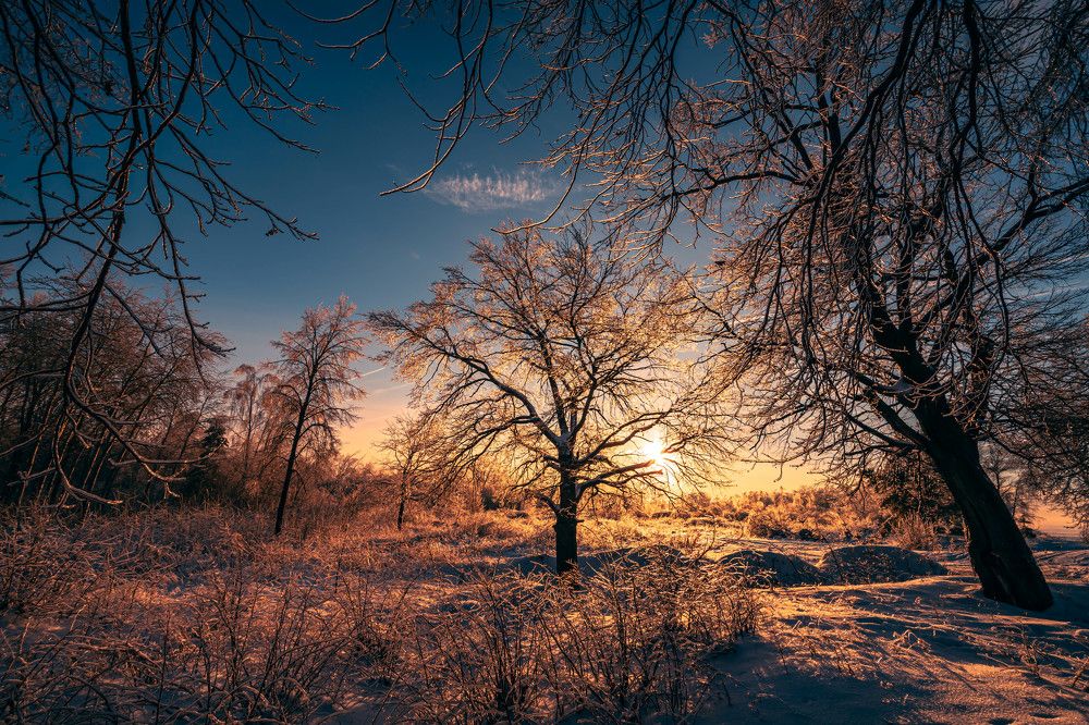 Photograph by Сергей Кочетов