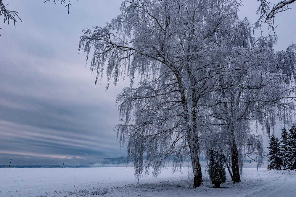 Фотография автора Alena Gersicova