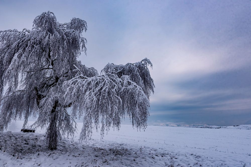 Фотография автора Alena Gersicova
