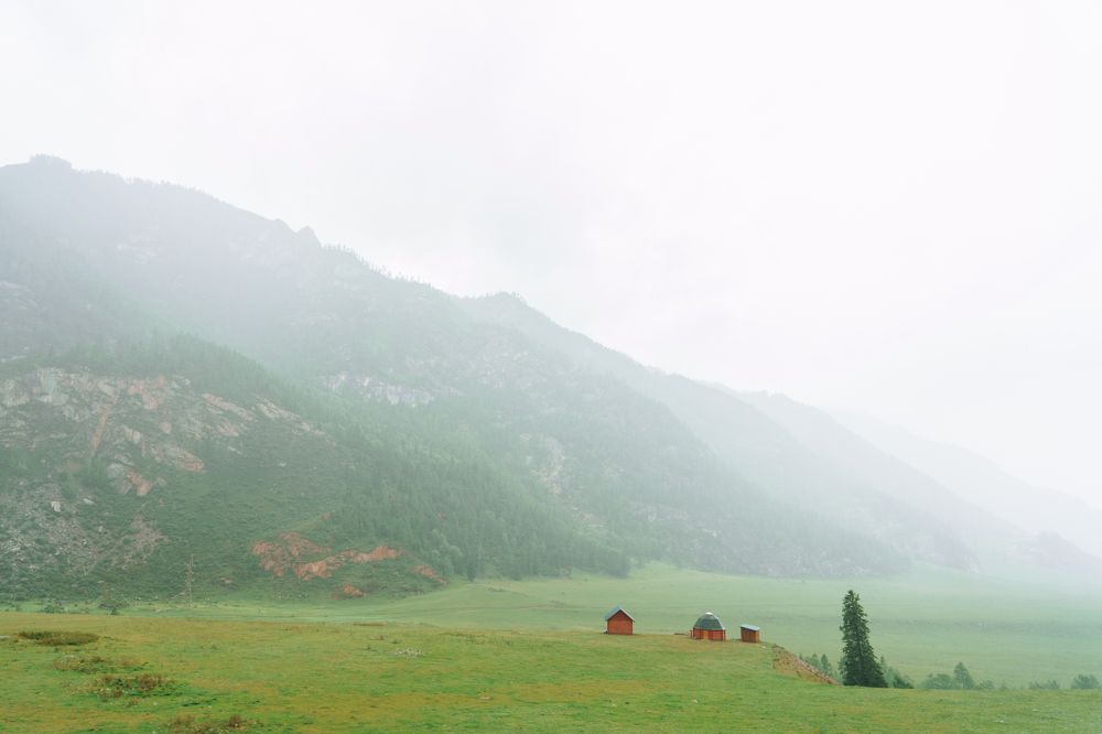 Photograph by Нина Гюрсой