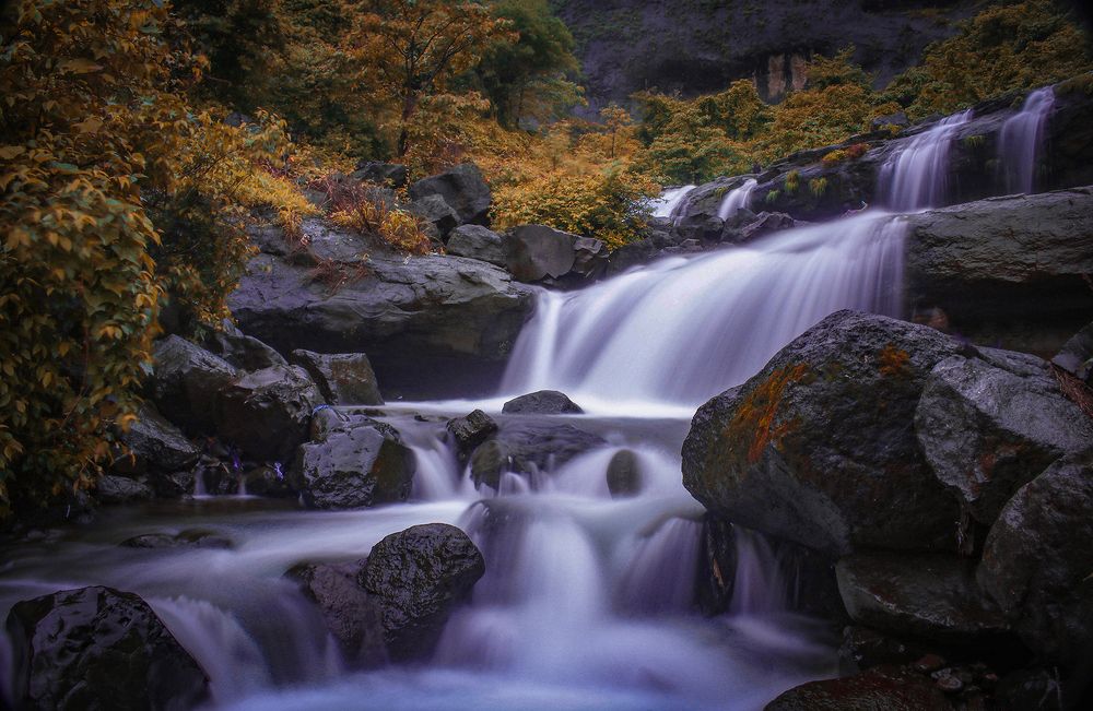 Photograph by Shubham Singh