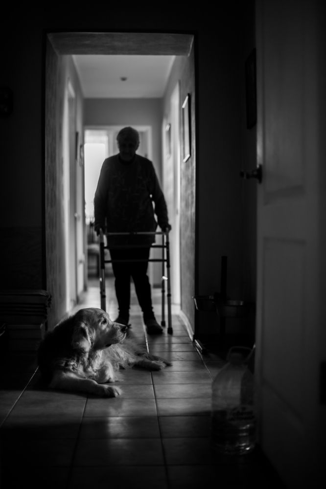 Photograph by Алёна Рындовская