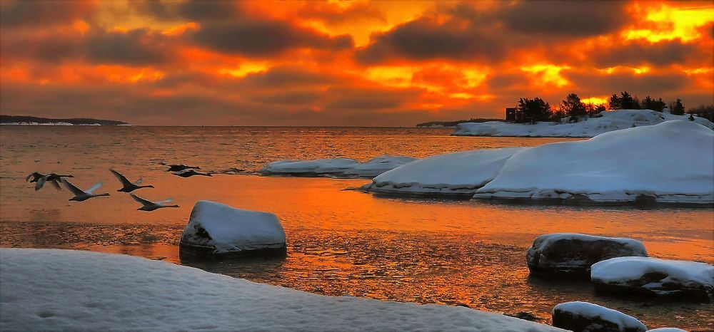 Photograph by Epp Tappel