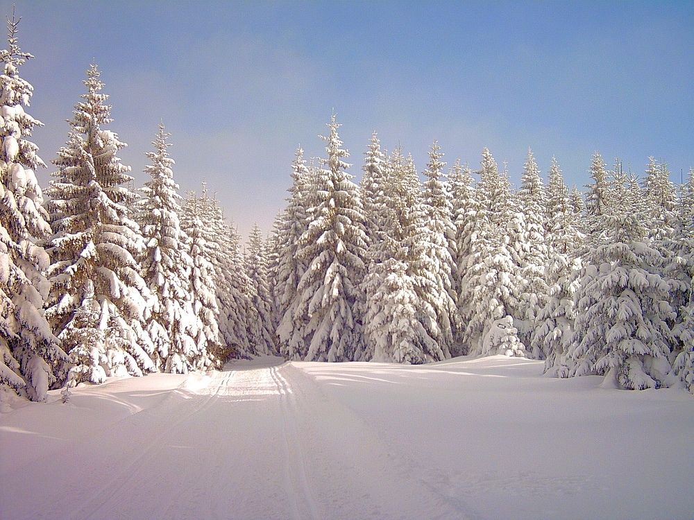 Photograph by Zdenek Janovsky