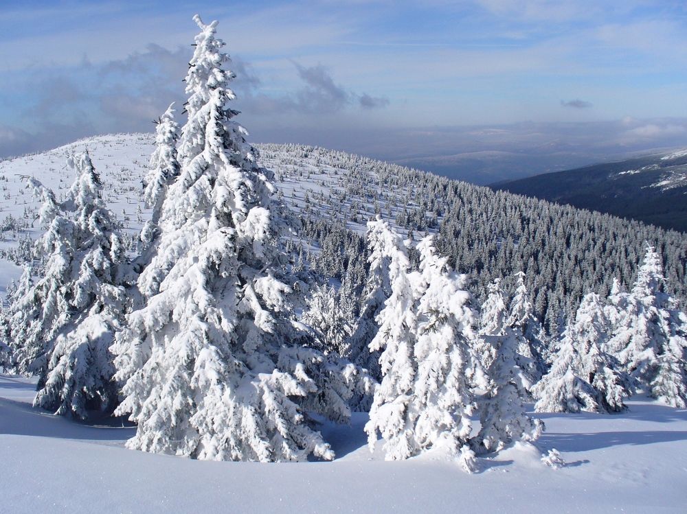 Photograph by Zdenek Janovsky