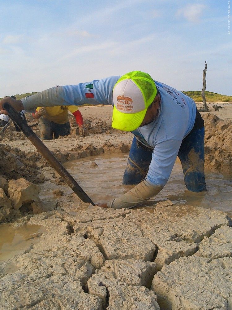 Photograph by luis antonio cruz perez