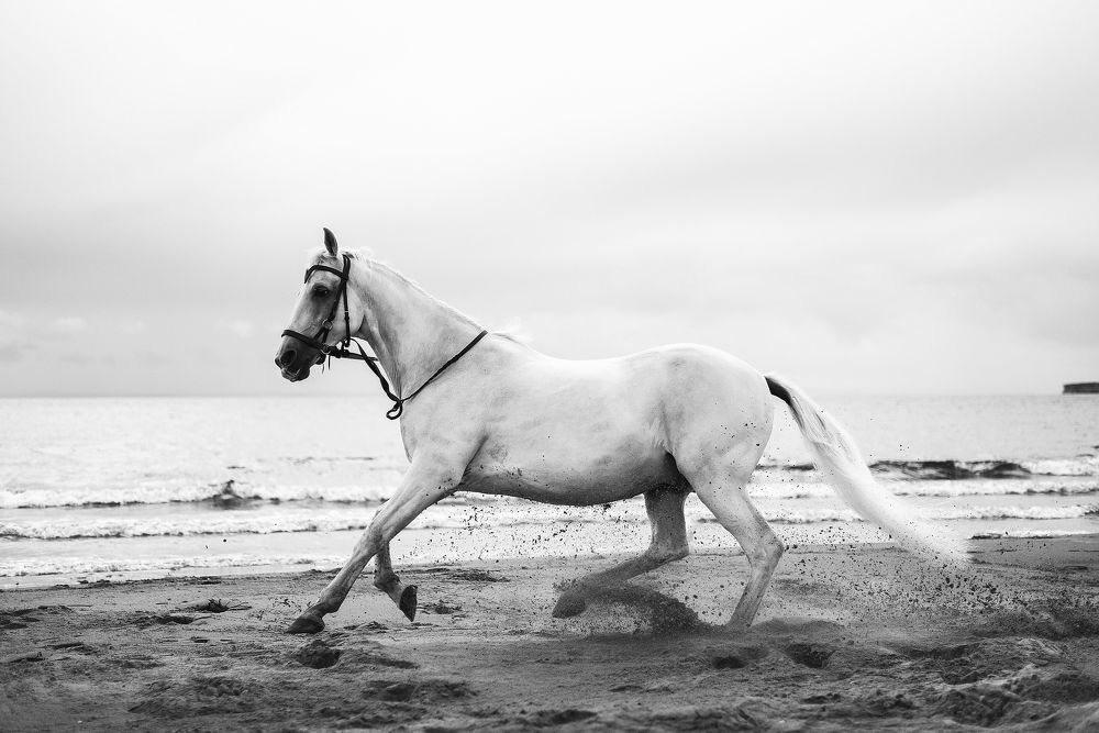 Фотография автора Мария Иодис