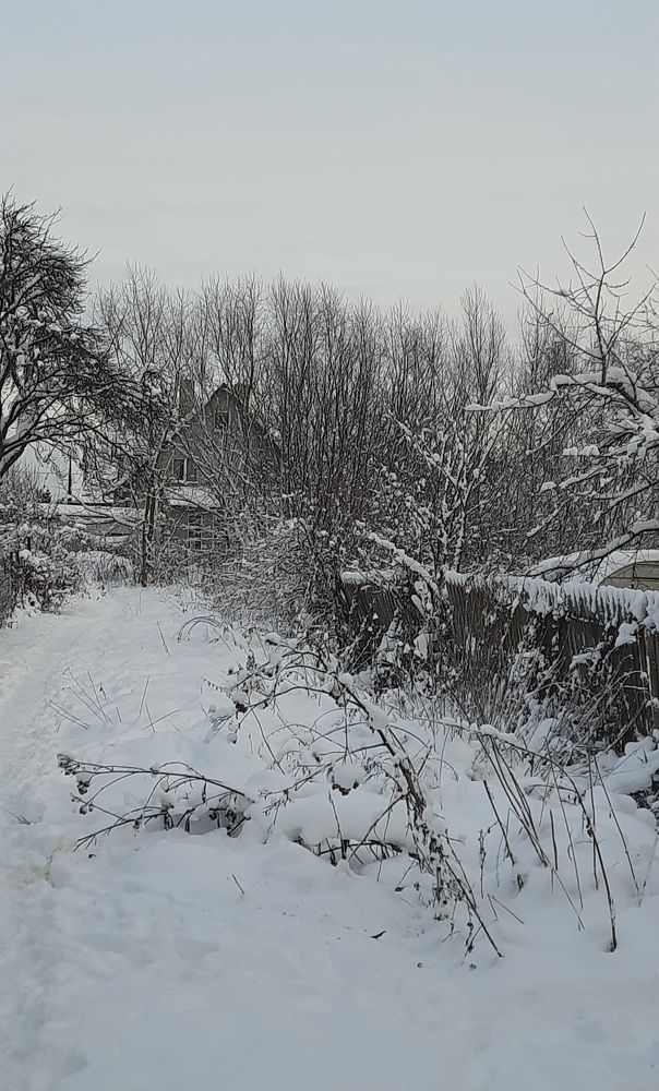 Photograph by Наталья Ткаченко