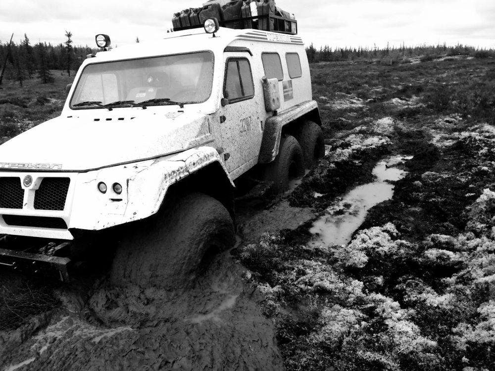 Фотография автора Светлана Матвиенко