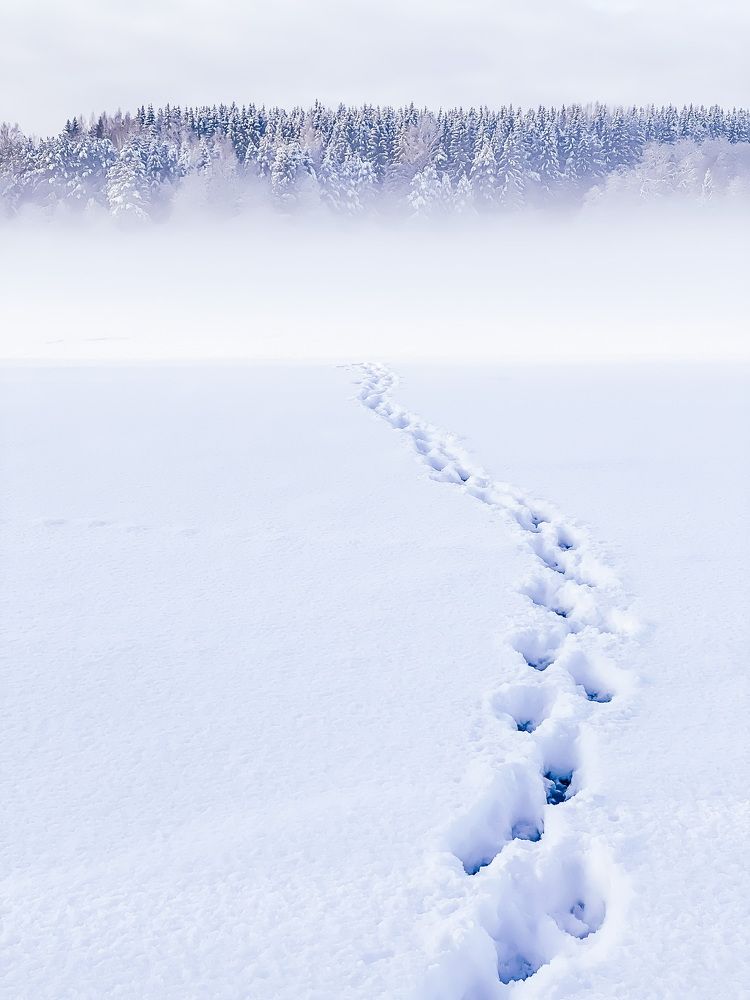 Photograph by Artem Zykin