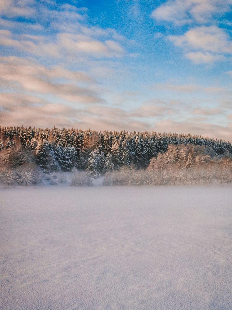 Photograph by Artem Zykin